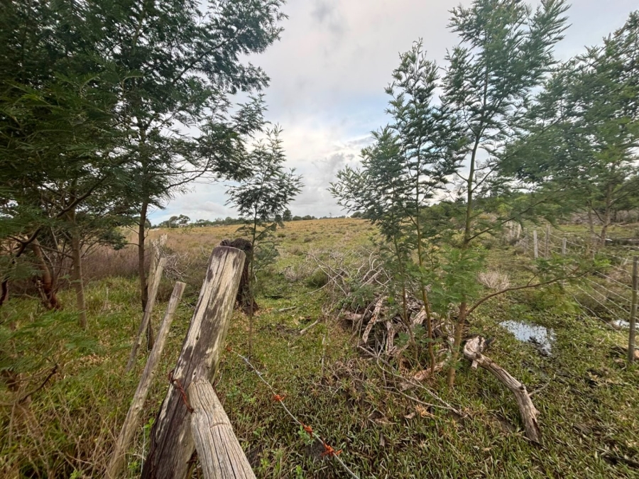 Commercial Property for Sale in Colleen Glen Eastern Cape
